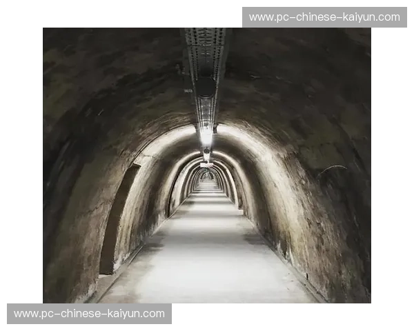 法兰克福森林球场保留二战防空洞遗址,球迷纪念馆传承历史记忆 法兰克福森林球场保留二战防空洞遗址,球迷纪念馆传承历史记忆